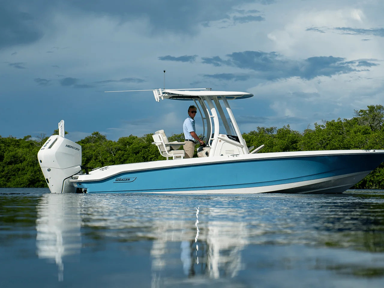 2026 Boston Whaler 250 Dauntless 25.0 feet, Clearwater, Florida #40