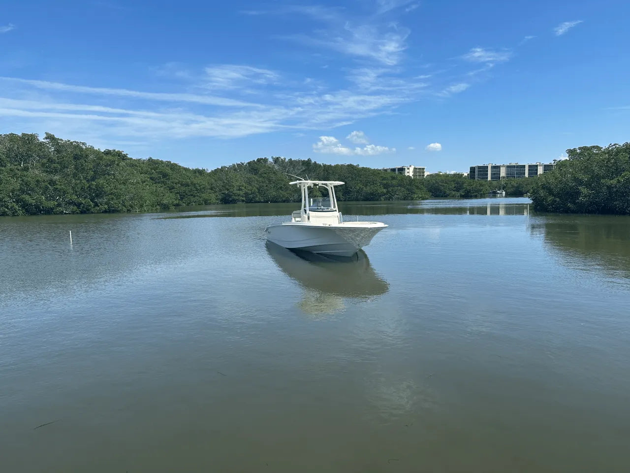 2025 Boston Whaler 250 Dauntless 25.0 feet, Clearwater, Florida #13