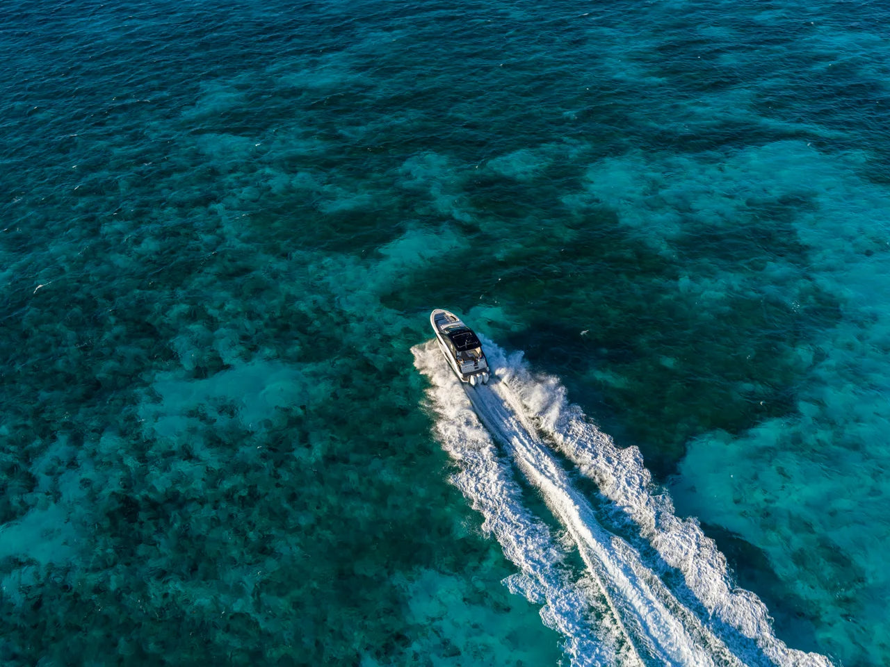 2026 Sea Ray Sundancer 370 Outboard 37.0 feet, Clearwater, Florida #13