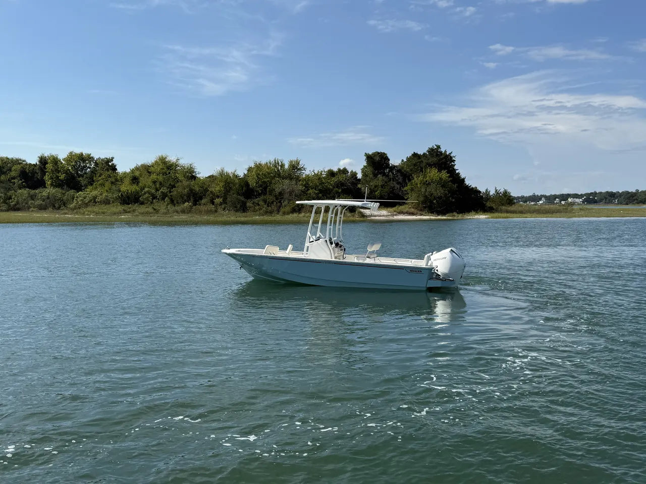 2025 Boston Whaler 210 Montauk 21.0 feet, Clearwater, Florida #4