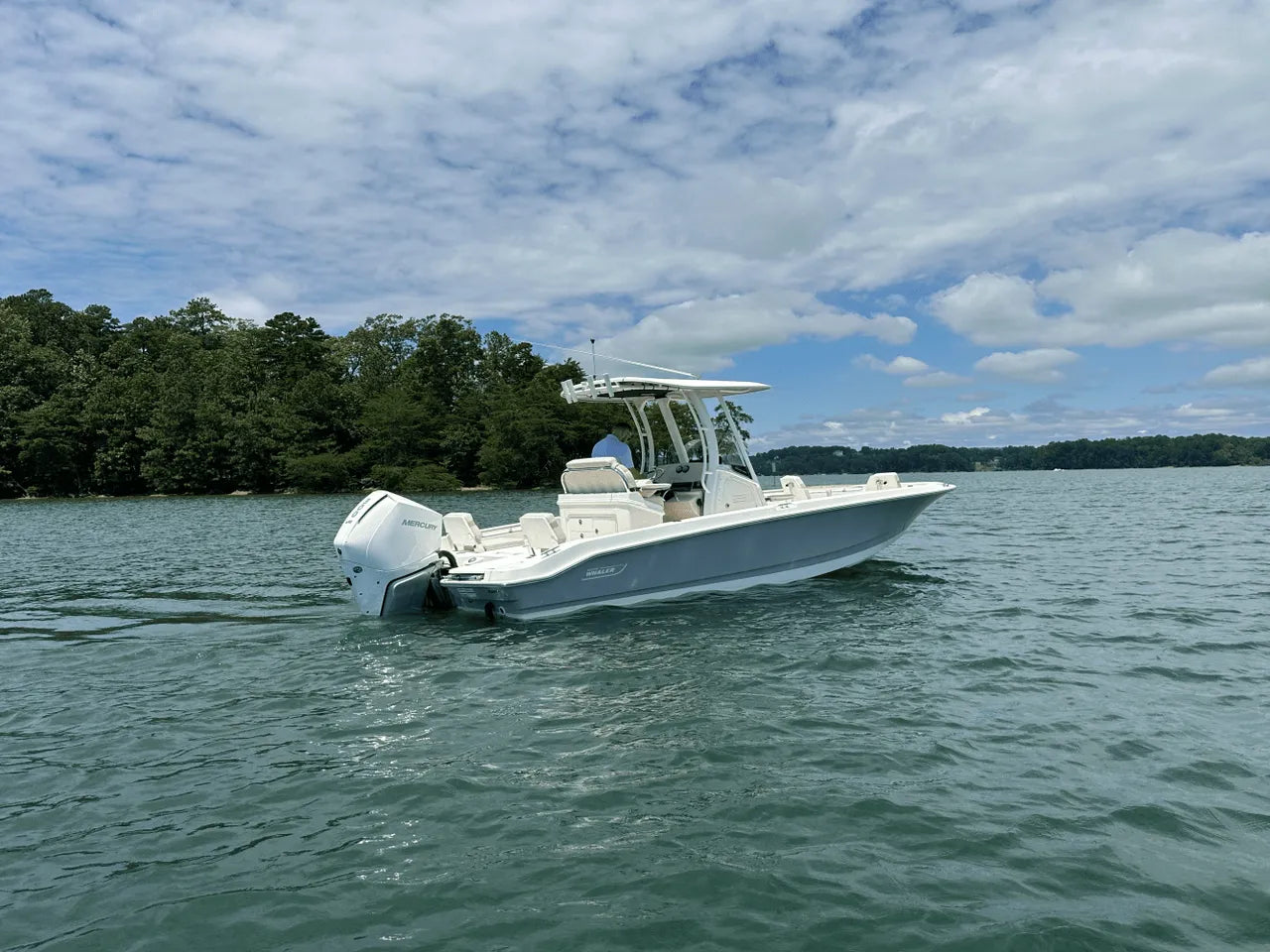 2025 Boston Whaler 250 Dauntless 25.0 feet, Clearwater, Florida #10