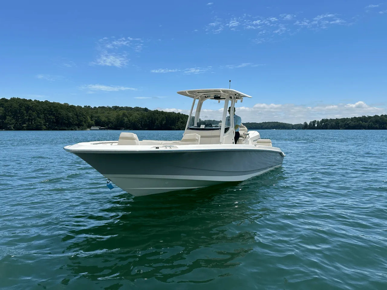 2025 Boston Whaler 250 Dauntless 25.0 feet, Clearwater, Florida #5