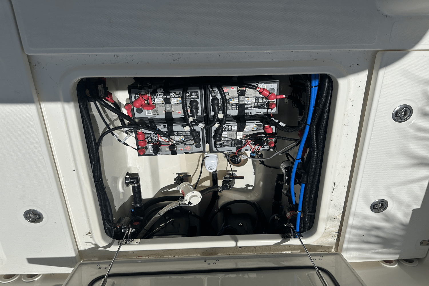 IIQ - Image