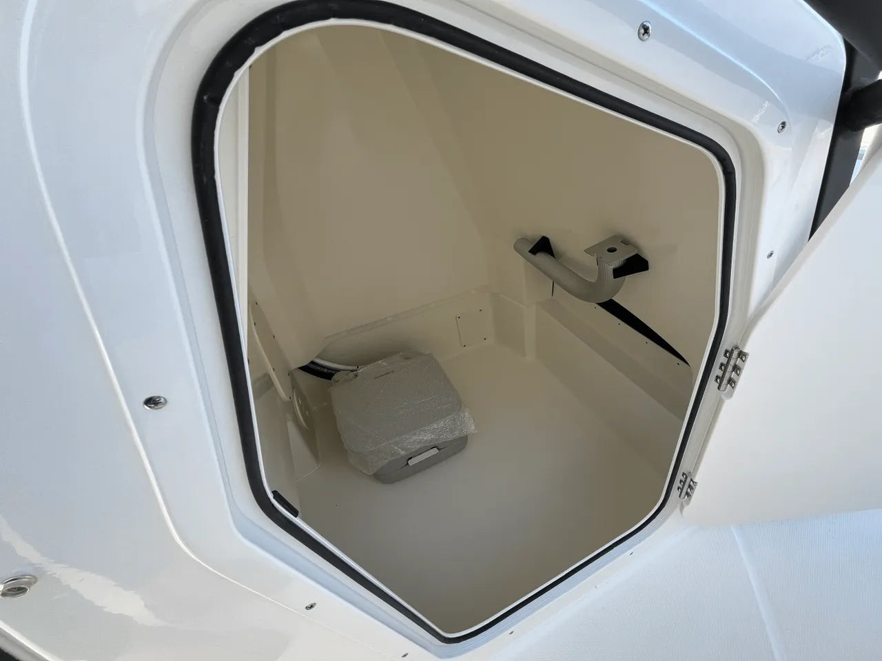 2025 Boston Whaler 250 Dauntless 25.0 feet, Clearwater, Florida #12