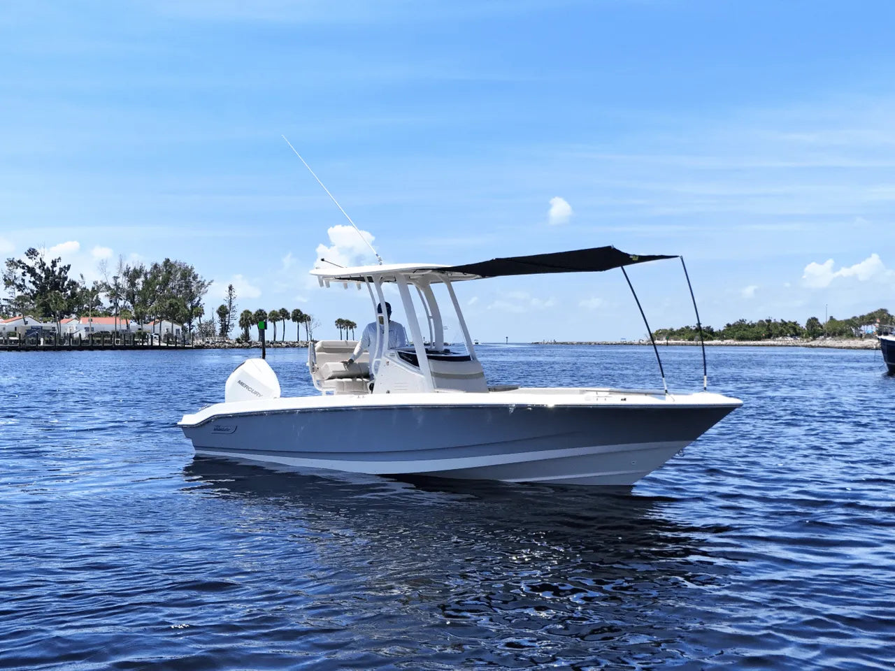 2026 Boston Whaler 220 Dauntless 22.0 feet, Clearwater, Florida #6