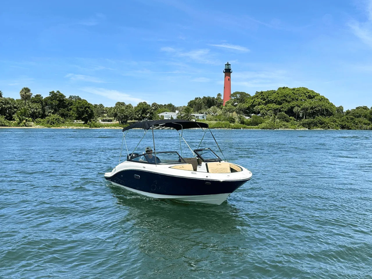 2025 Sea Ray SPX 190 Outboard 19.0 feet, Clearwater, Florida #3
