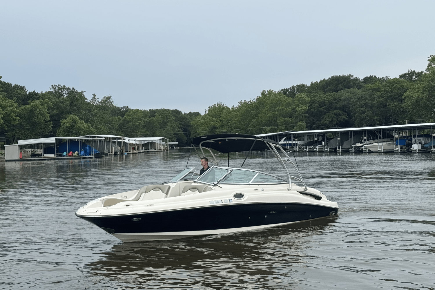 IIQ - Image