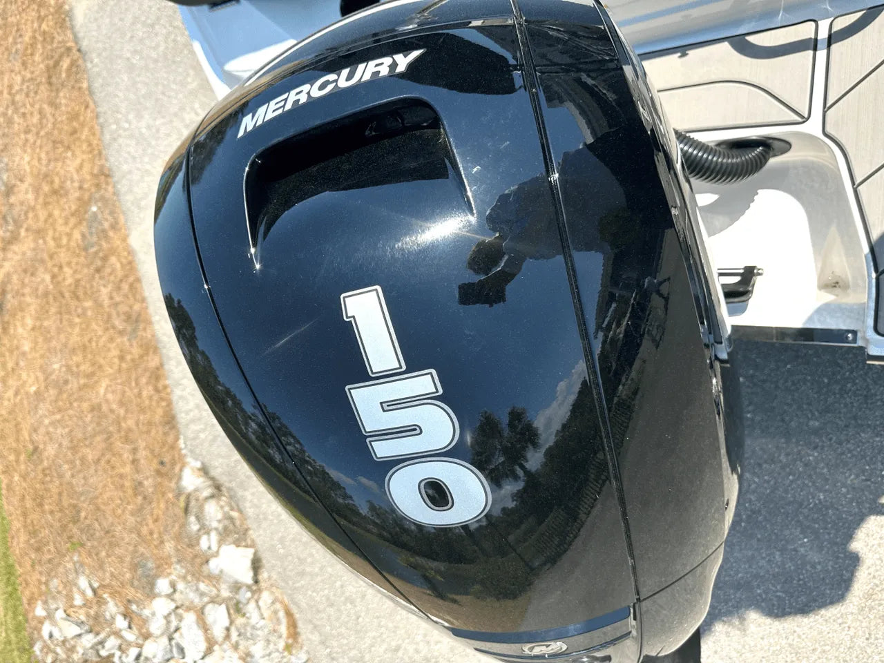 2025 Sea Ray SPX 190 Outboard 19.0 feet, Clearwater, Florida #3
