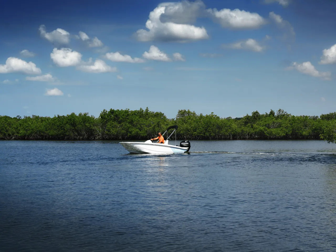 2025 Boston Whaler 130 Super Sport 13.0 feet, Clearwater, Florida #21