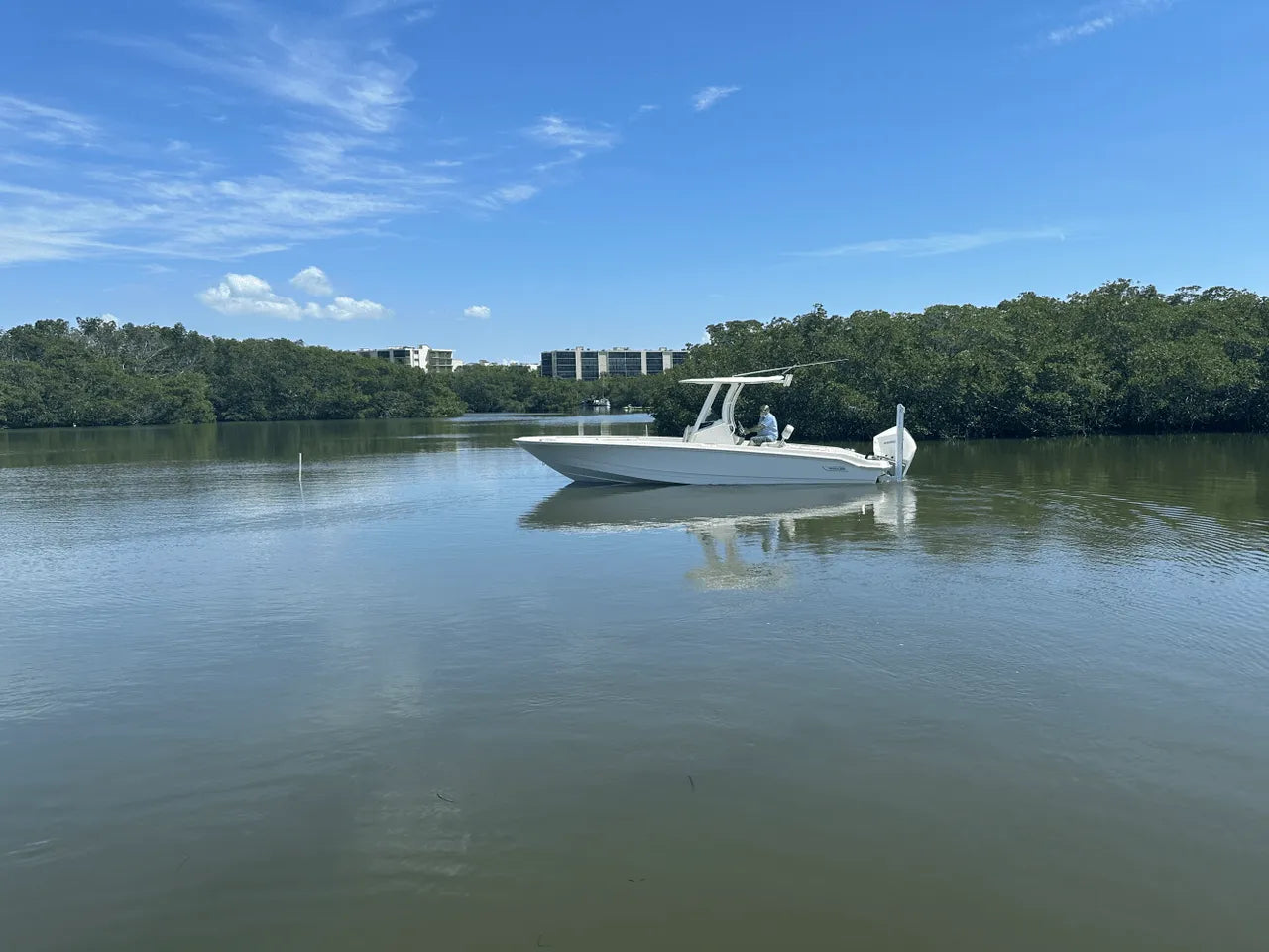 2025 Boston Whaler 250 Dauntless 25.0 feet, Clearwater, Florida #8