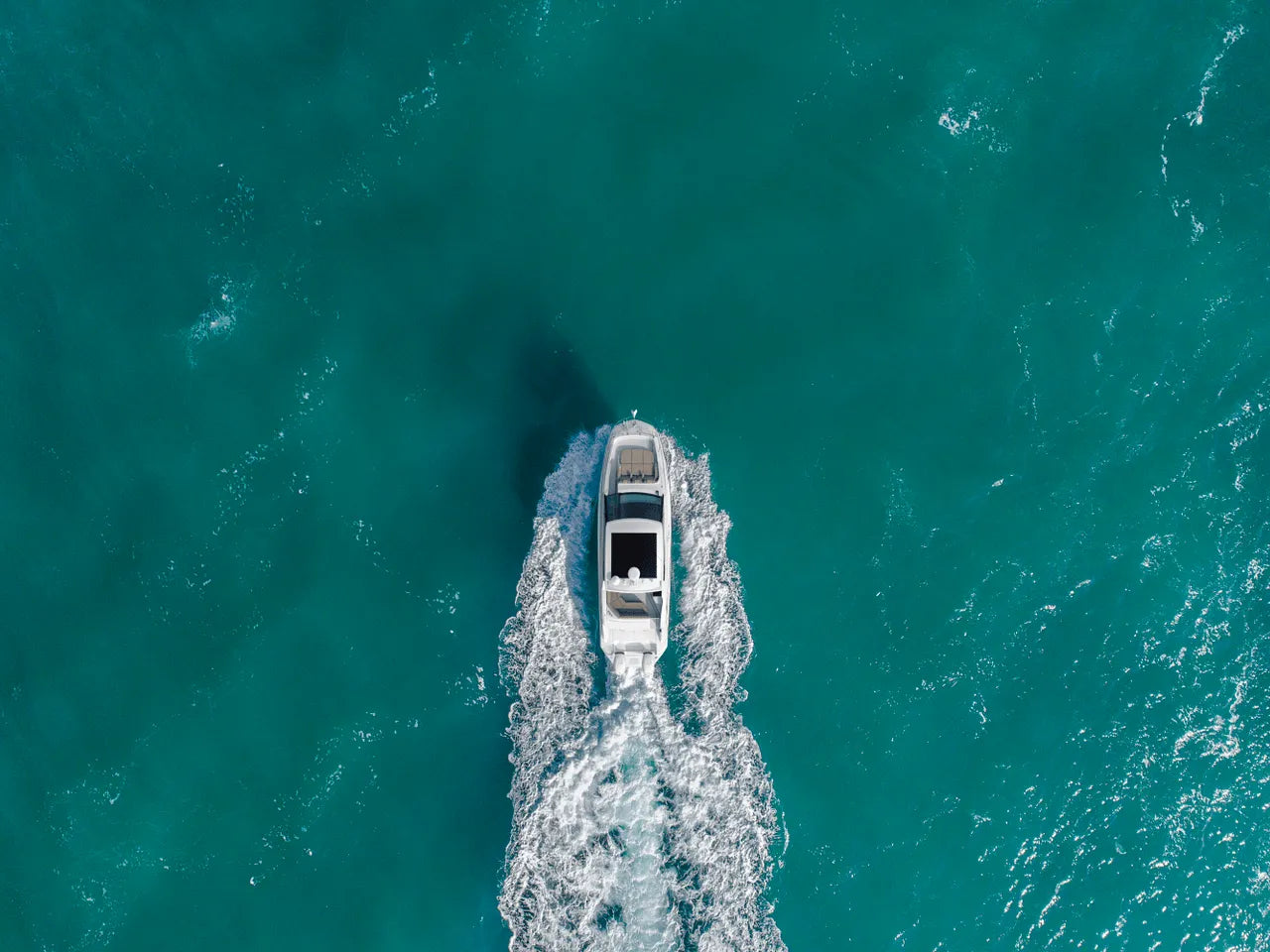2026 Sea Ray Sundancer 320 Outboard 32.0 feet, Clearwater, Florida #8