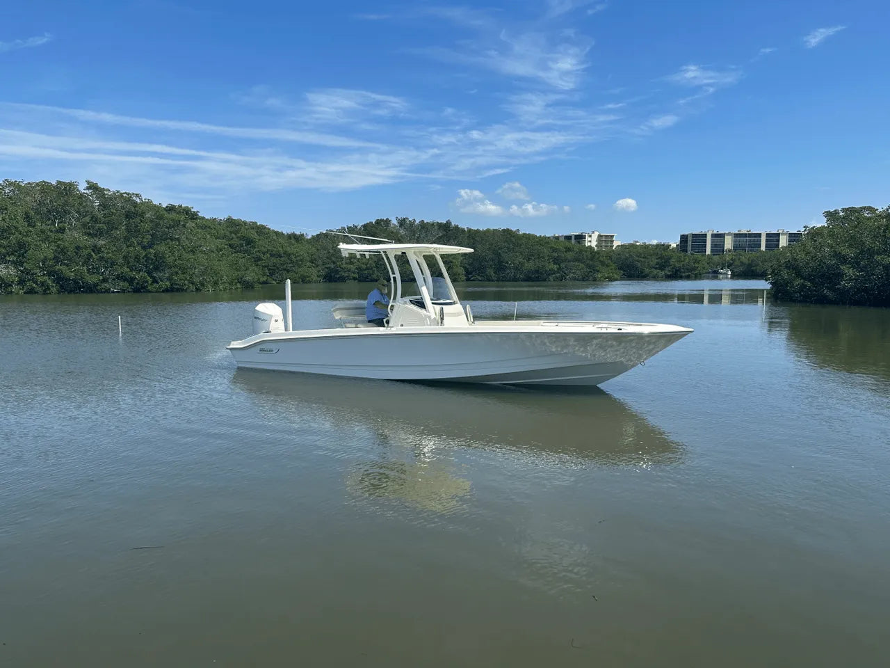 2025 Boston Whaler 250 Dauntless 25.0 feet, Clearwater, Florida #1