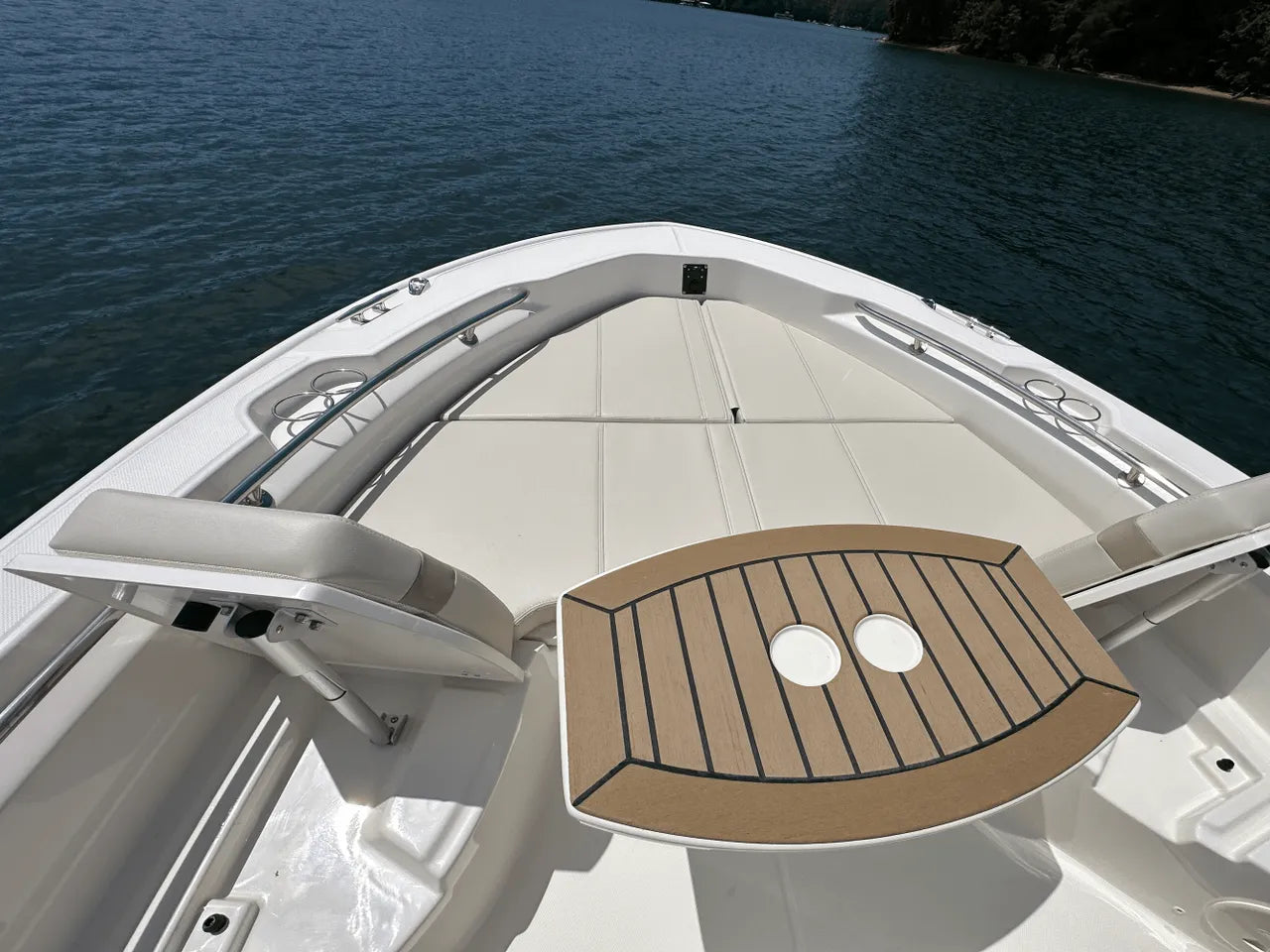 2025 Boston Whaler 250 Dauntless 25.0 feet, Clearwater, Florida #18
