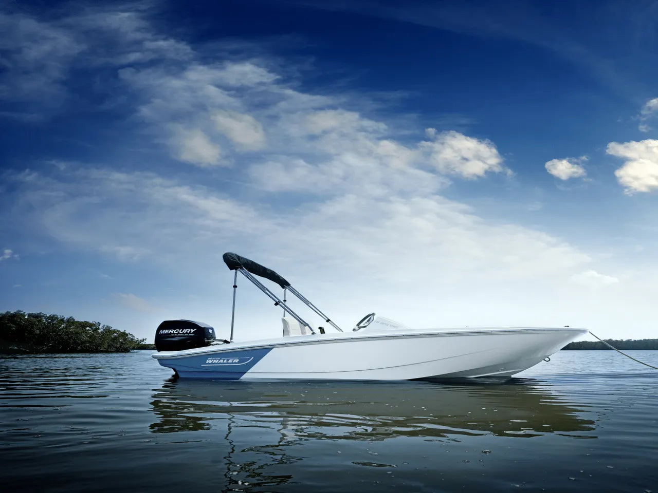 2025 Boston Whaler 130 Super Sport 13.0 feet, Clearwater, Florida #6