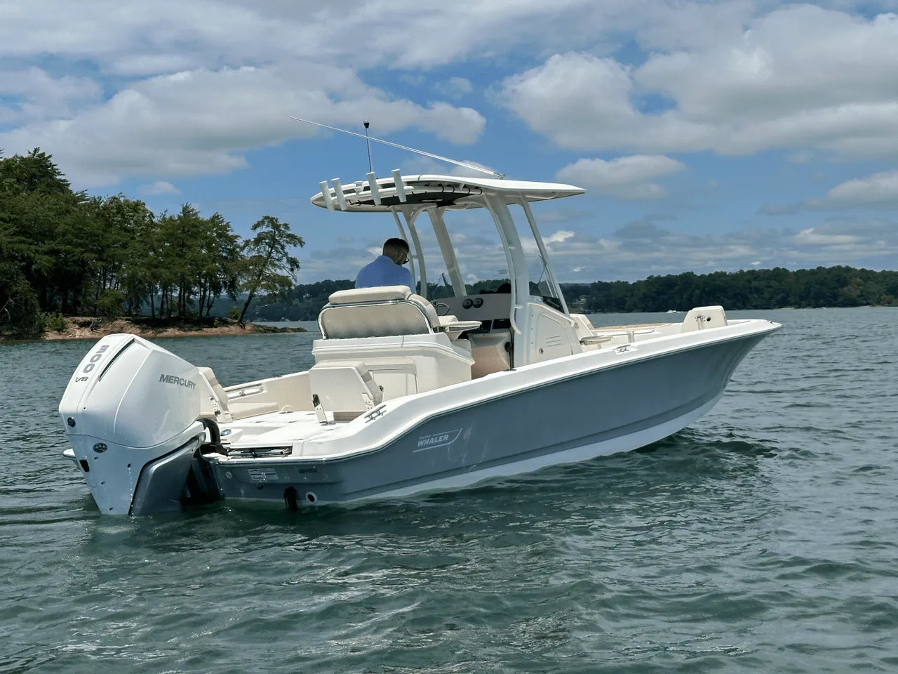 2025 Boston Whaler 250 Dauntless 25.0 feet, Clearwater, Florida #11