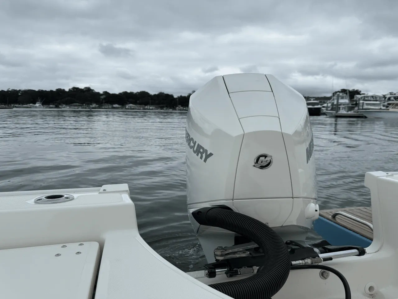 2025 Boston Whaler 210 Montauk 21.0 feet, Clearwater, Florida #5