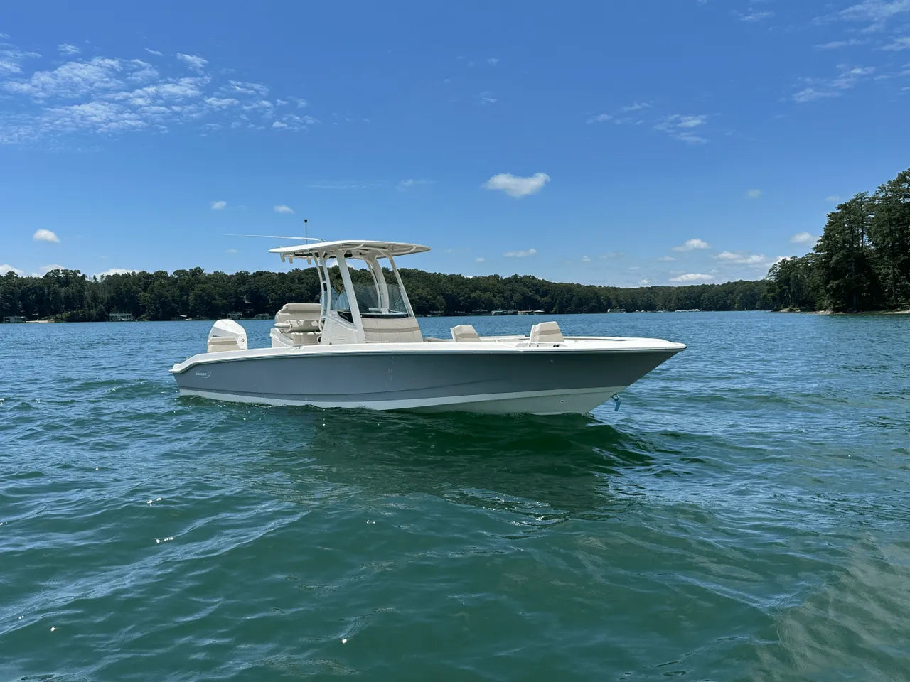 2025 Boston Whaler 250 Dauntless 25.0 feet, Clearwater, Florida #8
