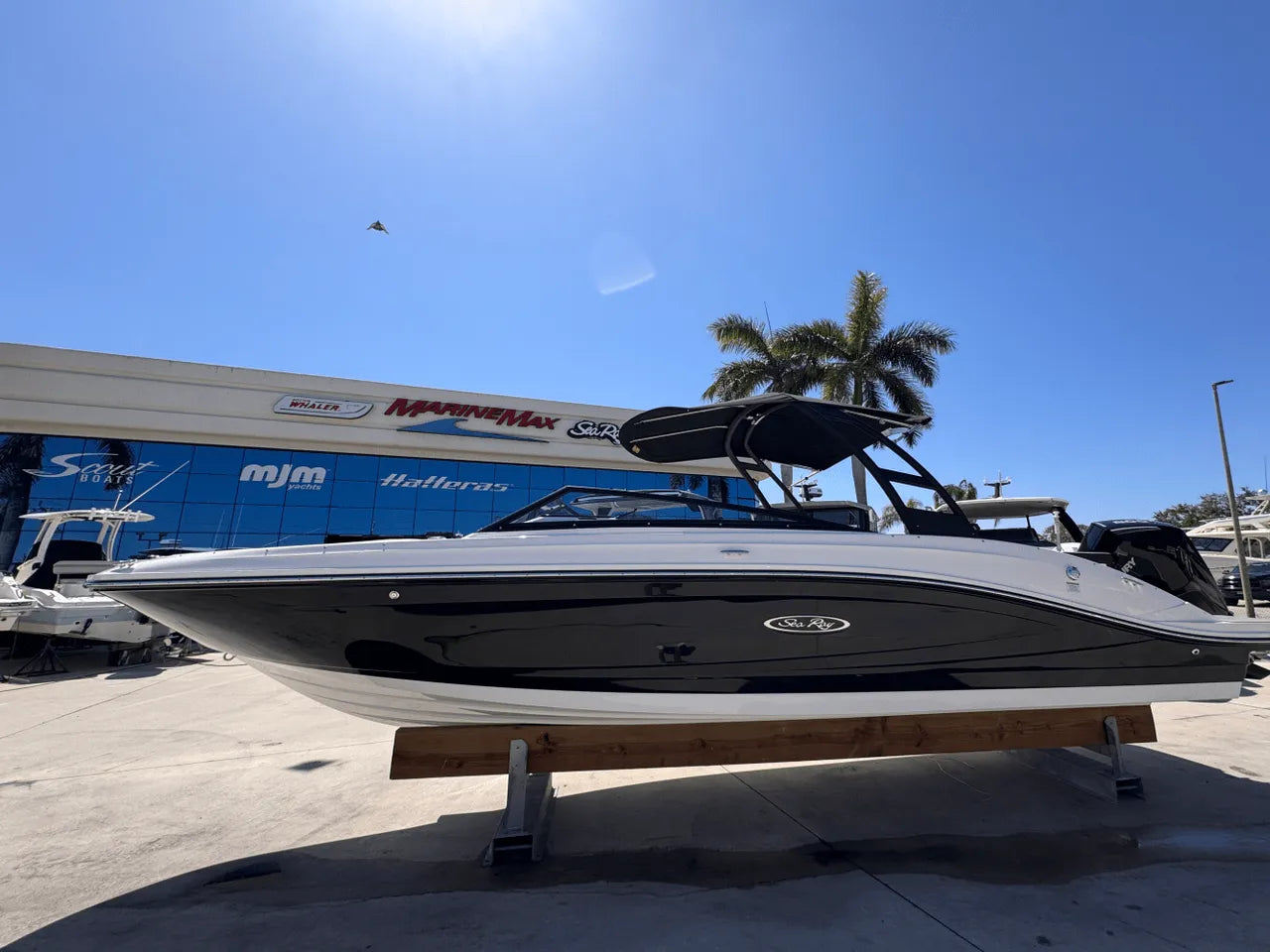 2025 Sea Ray SPX 230 Outboard 23.0 feet, Clearwater, Florida #2