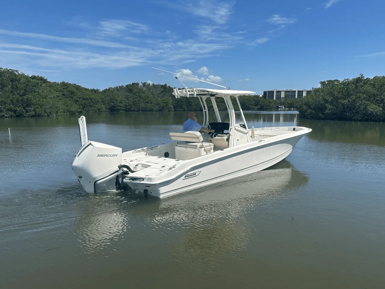 2025 Boston Whaler 250 Dauntless 25.0 feet, Clearwater, Florida #2
