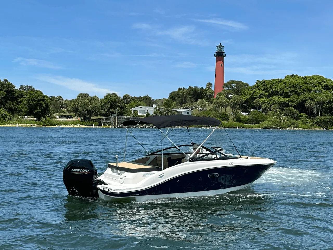 2025 Sea Ray SPX 190 Outboard 19.0 feet, Clearwater, Florida #4