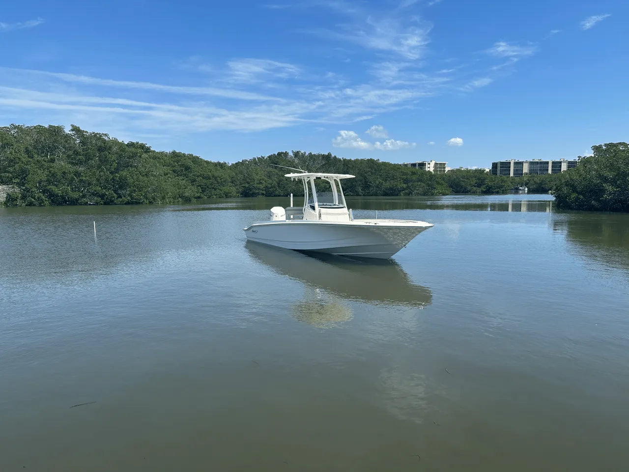 2025 Boston Whaler 250 Dauntless 25.0 feet, Clearwater, Florida #14