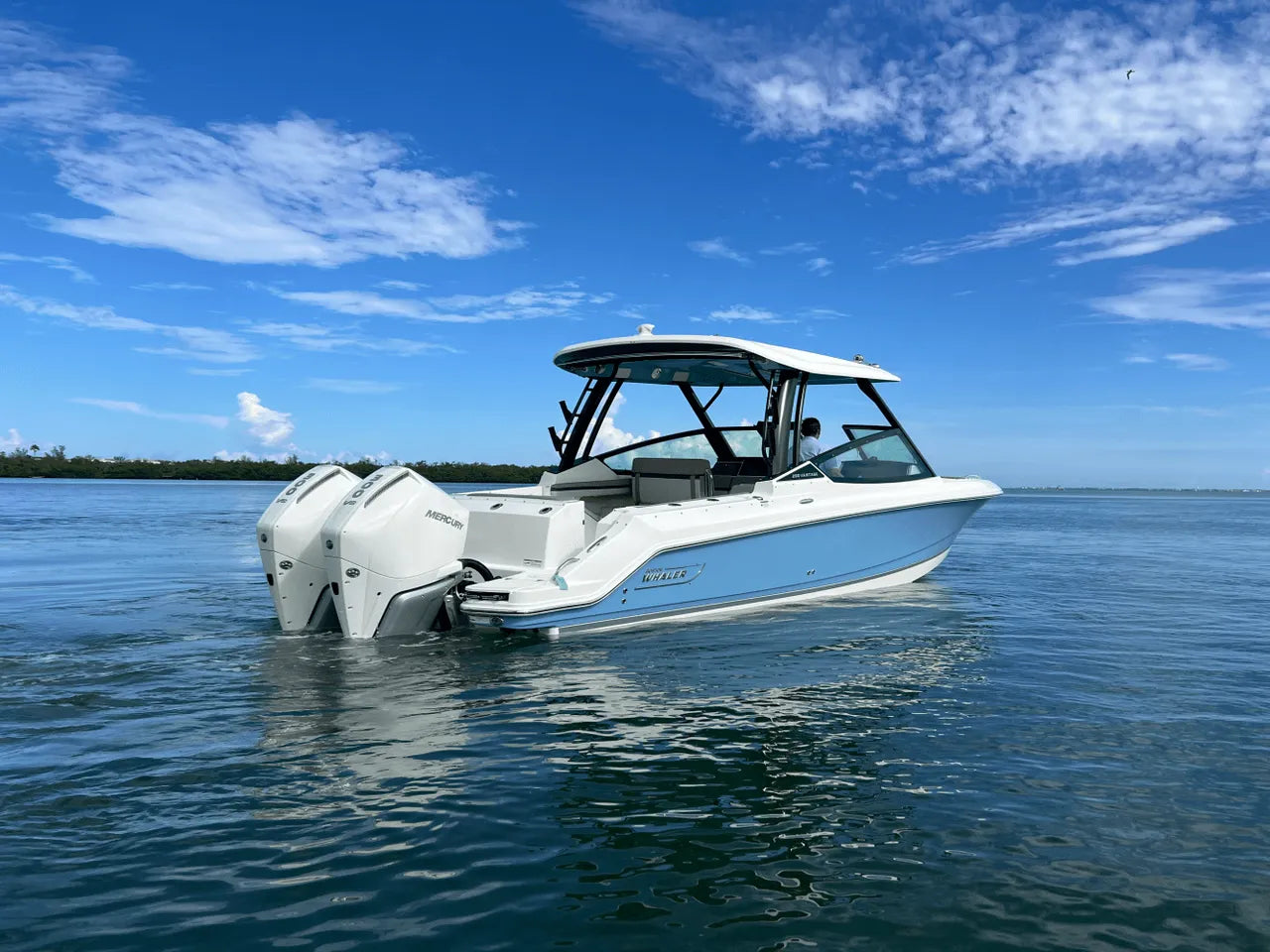 2026 Boston Whaler 280 Vantage 28.0 feet, Clearwater, Florida #17