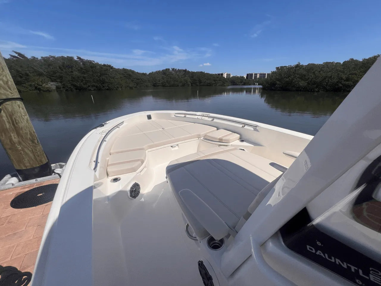 2025 Boston Whaler 250 Dauntless 25.0 feet, Clearwater, Florida #26