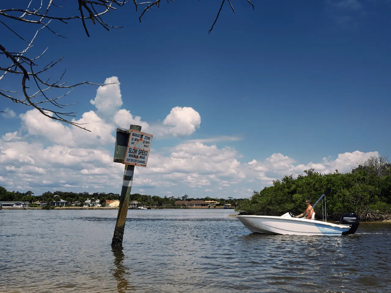 2025 Boston Whaler 130 Super Sport 13.0 feet, Clearwater, Florida #19