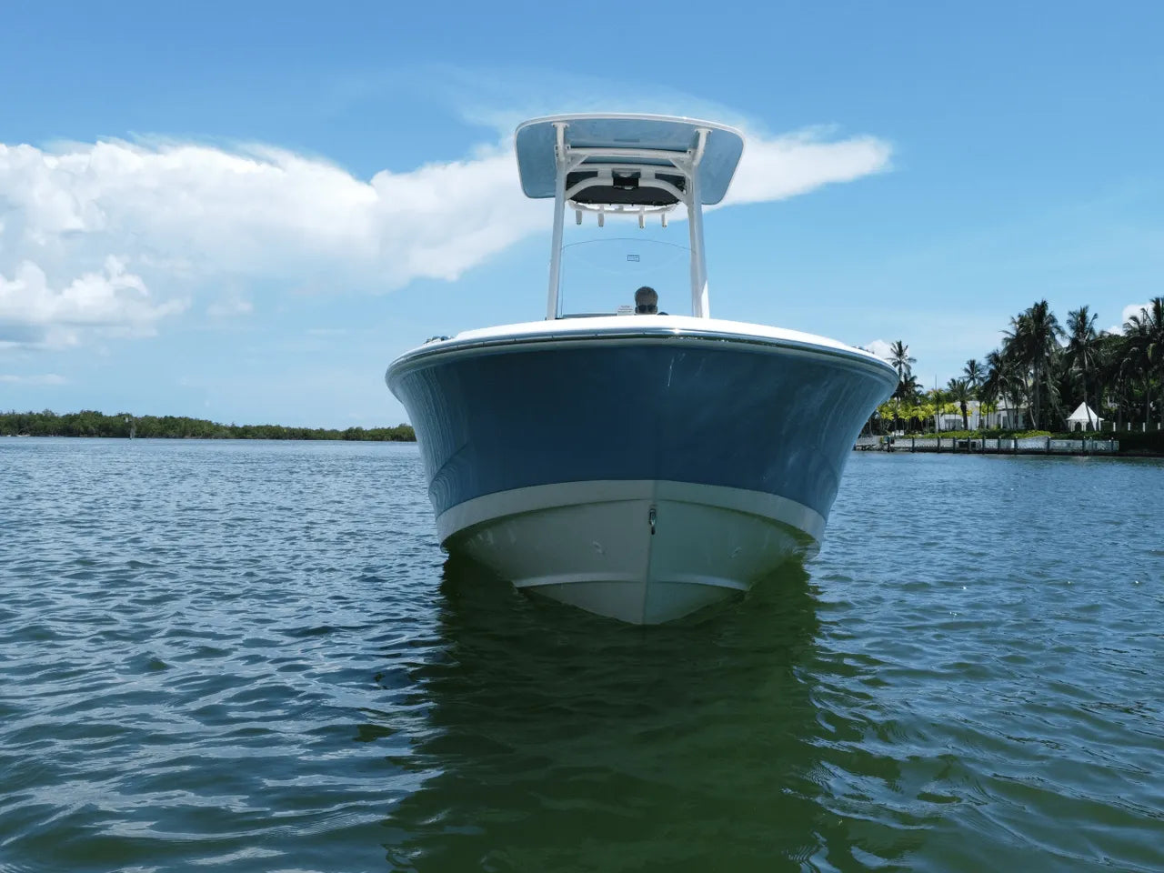 2026 Boston Whaler 220 Dauntless 22.0 feet, Clearwater, Florida #5