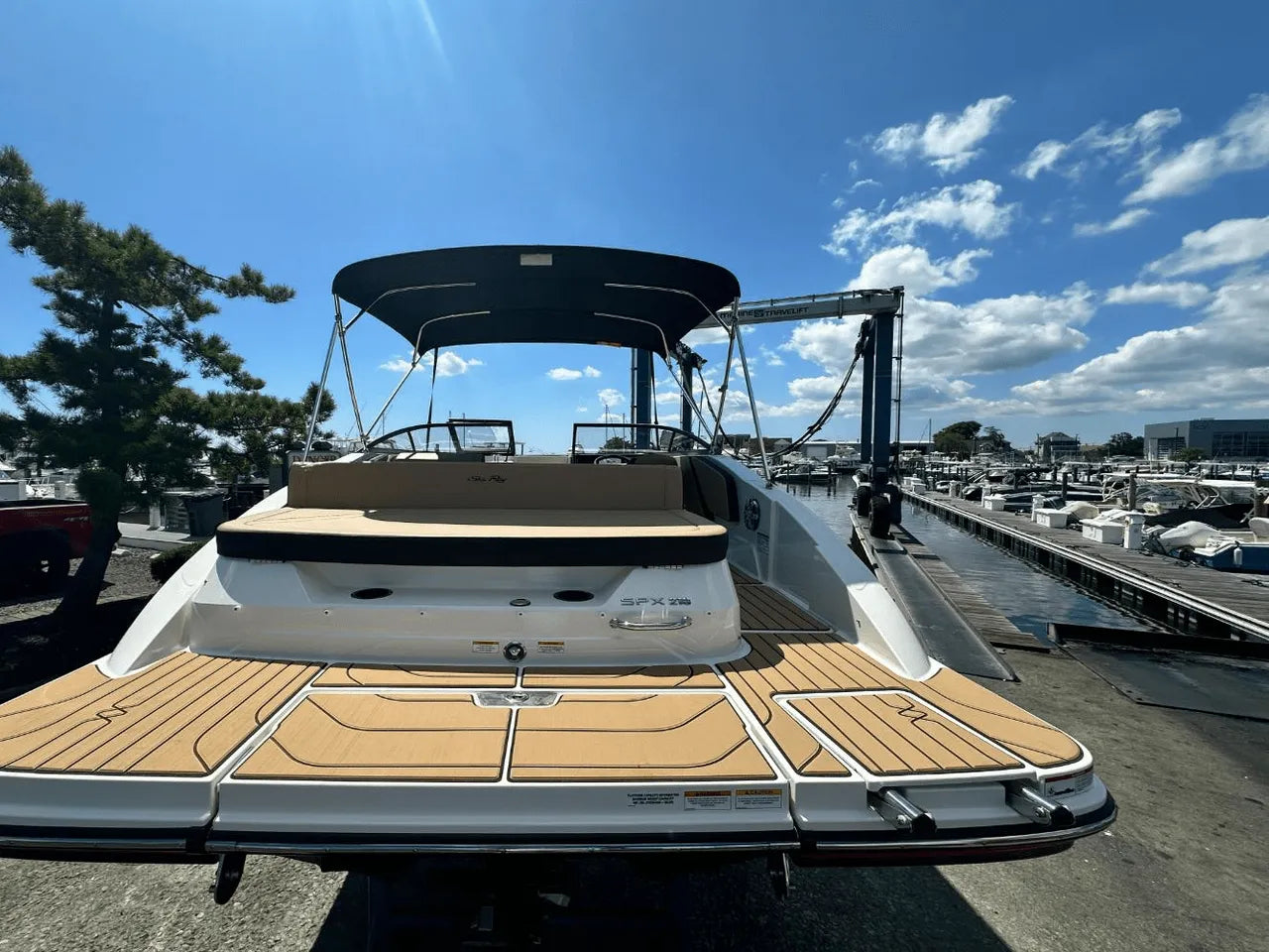 2025 Sea Ray SPX 210 21.0 feet, Clearwater, Florida #4