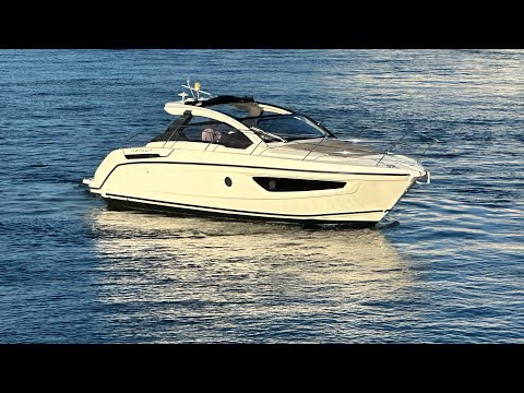 IIQ - Video