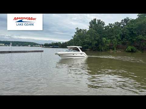 2026 Sea Ray SLX 310 31.0 feet Walk-Through - Features & Buyer's Guide, Clearwater, Florida #1