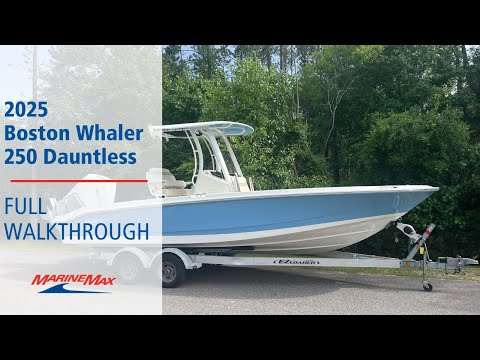 2025 Boston Whaler 250 Dauntless 25.0 feet Walk-Through - Features & Buyer's Guide, Clearwater, Florida #1