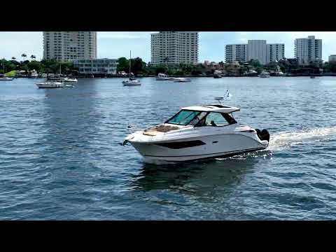 IIQ - Video