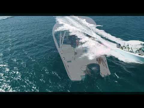 IIQ - Video