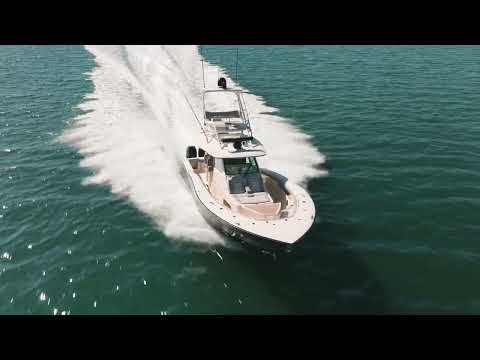 IIQ - Video