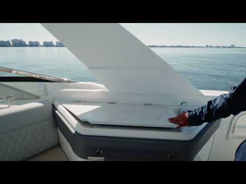 IIQ - Video