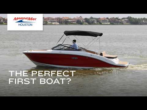 2026 Sea Ray SPX 210 21.0 feet Walk-Through - Features & Buyer's Guide, Clearwater, Florida #1