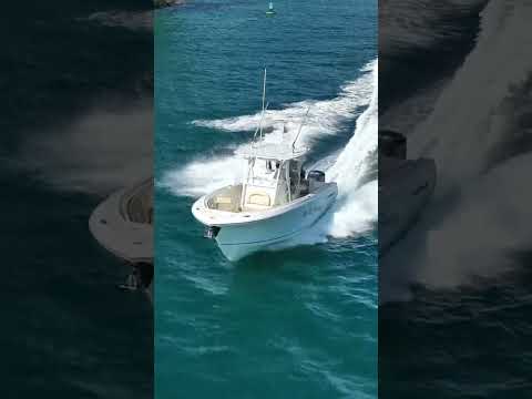 IIQ - Video