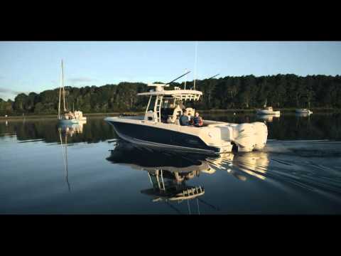 IIQ - Video
