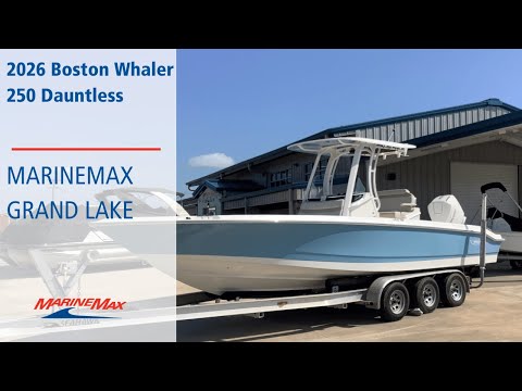 2026 Boston Whaler 250 Dauntless 25.0 feet Walk-Through - Features & Buyer's Guide, Clearwater, Florida #1