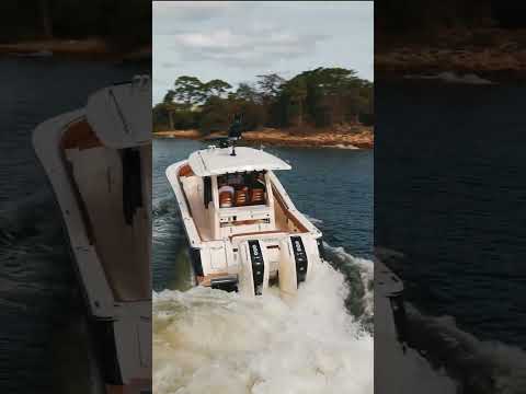 IIQ - Video