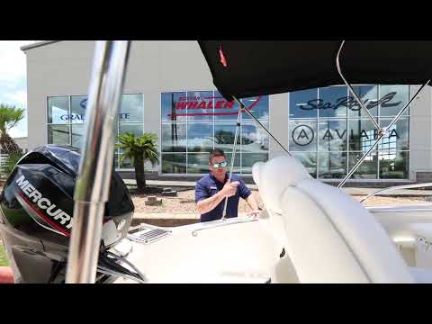 IIQ - Video