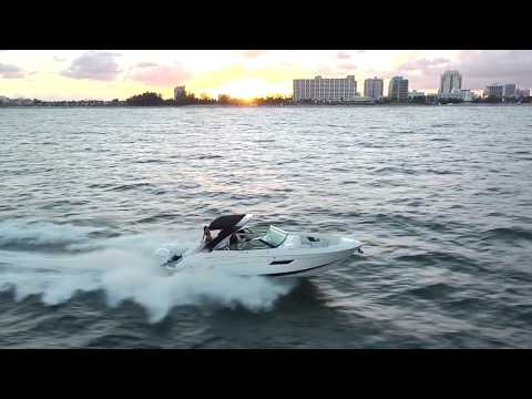 IIQ - Video