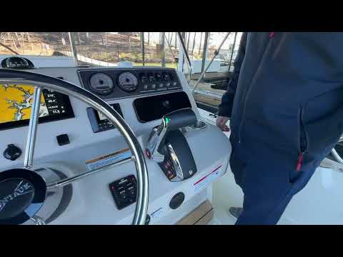 IIQ - Video