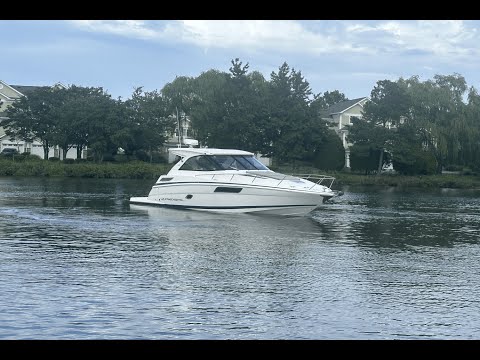 IIQ - Video