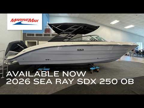 2026 Sea Ray SDX 250 Outboard 25.0 feet Walk-Through - Features & Buyer's Guide, Clearwater, Florida #1