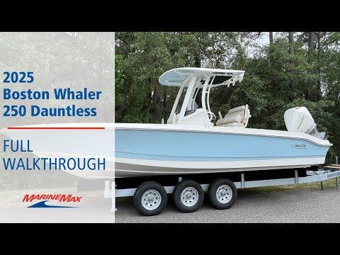 2025 Boston Whaler 250 Dauntless 25.0 feet Walk-Through - Features & Buyer's Guide, Clearwater, Florida #1
