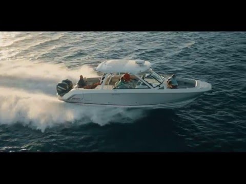 IIQ - Video