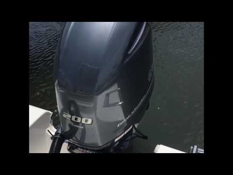 IIQ - Video